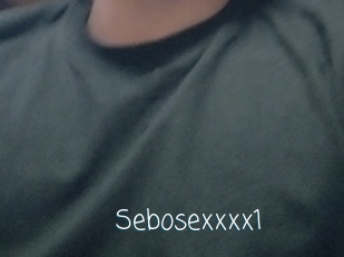 Sebosexxxx1