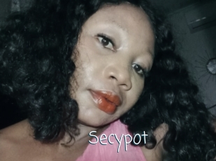 Secypot