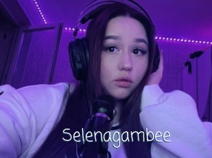 Selenagambee