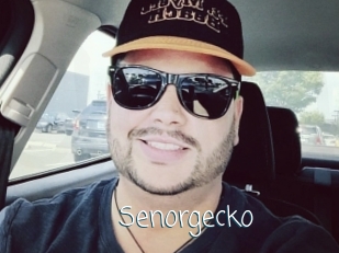 Senorgecko