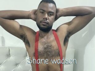 Shane_wadson
