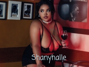 Shanyhalle