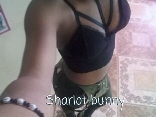 Sharlot_bunny