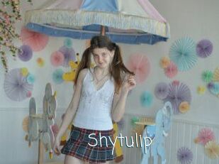 Shytulip