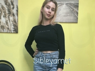 Sibleyarnet