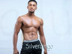 silverdingo Adult o Porn