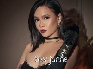 Sky_junne