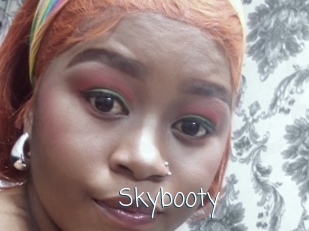 Skybooty