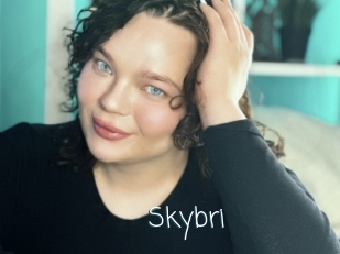 Skybri