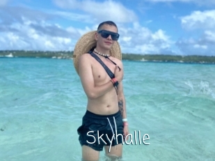 Skyhalle