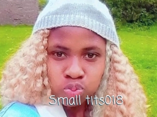 small_tits018 Adult o Porn