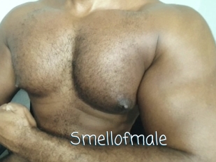 Smellofmale