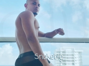 snakebig Adult o Porn