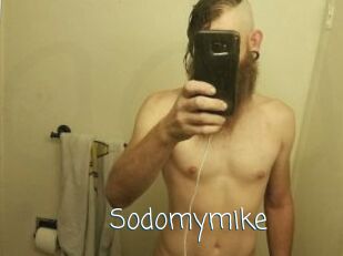 Sodomymike