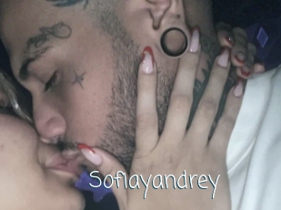 sofiayandrey Adult o Porn