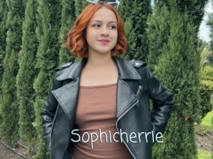 Sophicherrie
