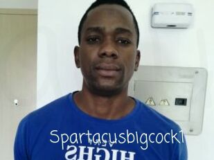 Spartacusbigcock1