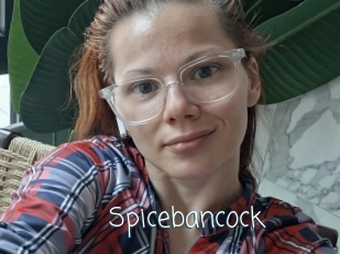 Spicebancock
