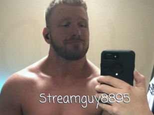 Streamguy8895