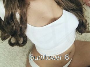 Sunflower_8
