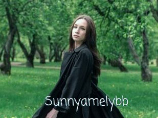 Sunnyamelybb