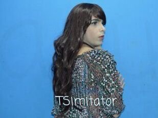 TSimitator