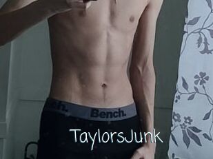 TaylorsJunk