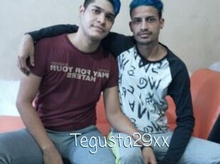 Tegusta29xx