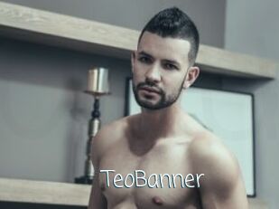 TeoBanner