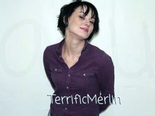 TerrificMerlin