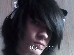 This_is_dog