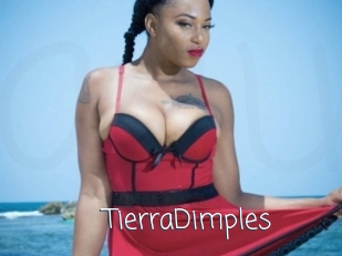 TierraDimples