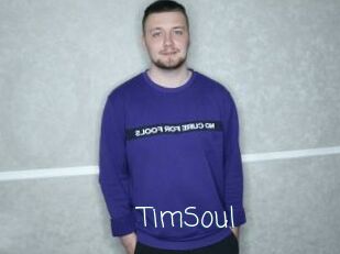 TimSoul