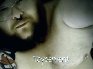 Toyservent