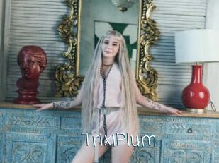 TrixiPlum