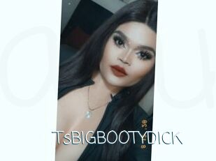 TsBIGBOOTYDICK