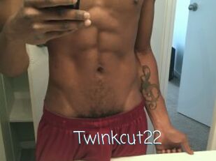 Twinkcut22