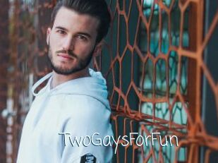 TwoGaysForFun