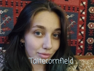 Taitecornfield
