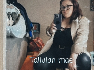 Tallulah_mae