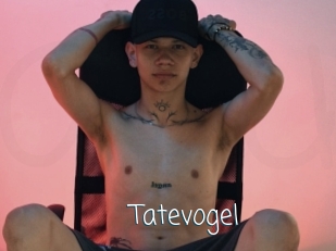 Tatevogel