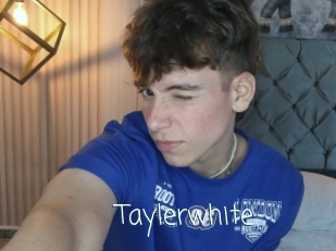 taylerwhite Adult o Porn