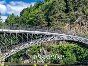 Testvenice
