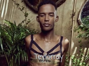 teylorray Adult o Porn