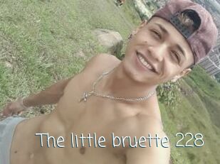 The_little_bruette_228