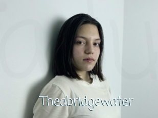 Theabridgewater
