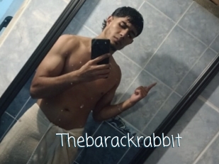 Thebarackrabbit