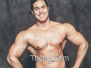Thebig22cm