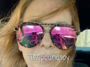 Thepoundtoy