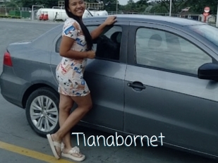 Tianabornet